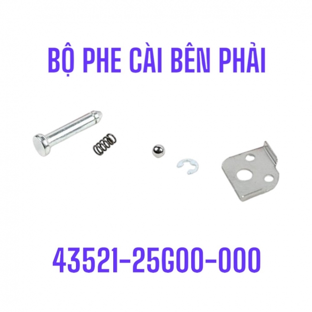 BỘ PHE GÁC CHÂN SAU SATRIA FI 150 BÊN PHẢI / GSX 150
