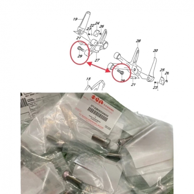 ỐC BẮT CÙI GÁC CHÂN SAU SATRIA FI 150 / SATRIA FU 150 / GSX 150