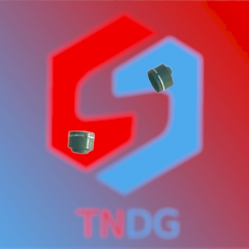 PHỐT XUPAP SATRIA FI 150 / GSX 150 / SATRIA FU 150 / RAIDER FI 150 ( TNDG) -  09289-04002-000-TNDG